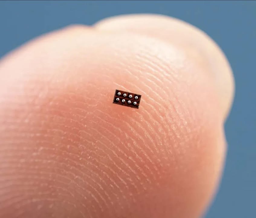 📰 CÚ NHẢY KHỔNG LỒ TRONG HÌNH HÀI TÝ HON!