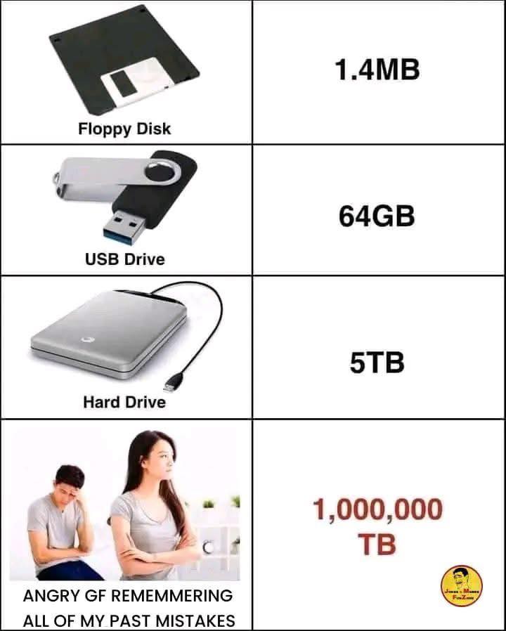 Mọi bộ nhớ trên đời đều bỏ cuộc trước trí nhớ của elm🥴