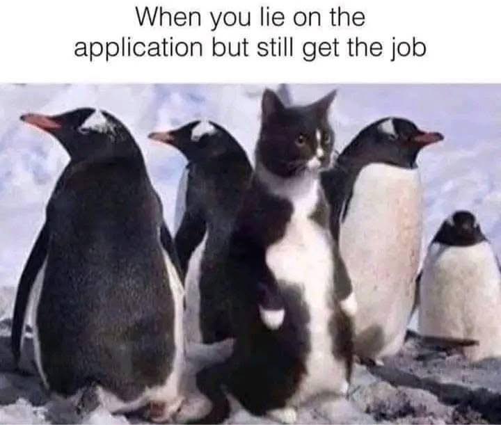 Em làm cỡ 5 công việc, build app lớn nhỏ, mỗi chữ INTERN thì em khum bỏ vào CV thui ạ, anh chị cứ căng thẳng làm gì🥹