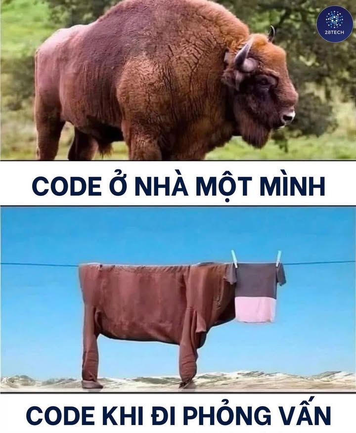 Con bò sao, tôi vậy😮‍💨