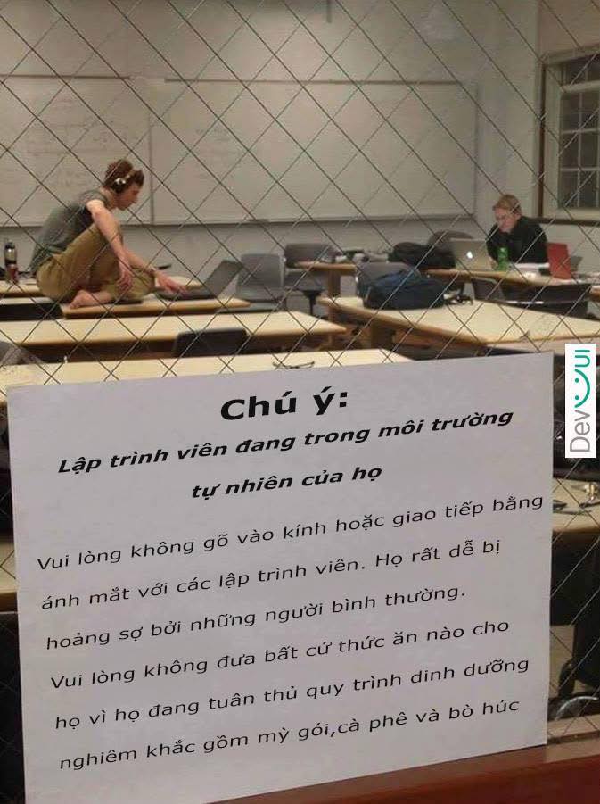 Theo ngành 5 năm ra đường tưởng vượn người không đó 🥹